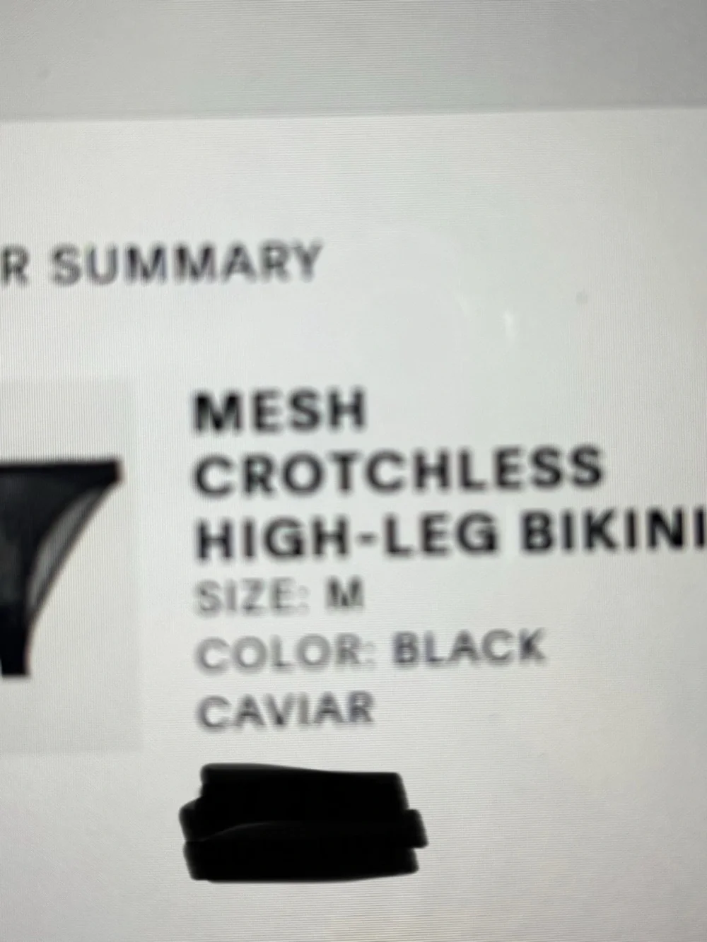 Savage X Fenty Sheer Black Mesh Crotchless Bikini Panty - Picture 6 of 6